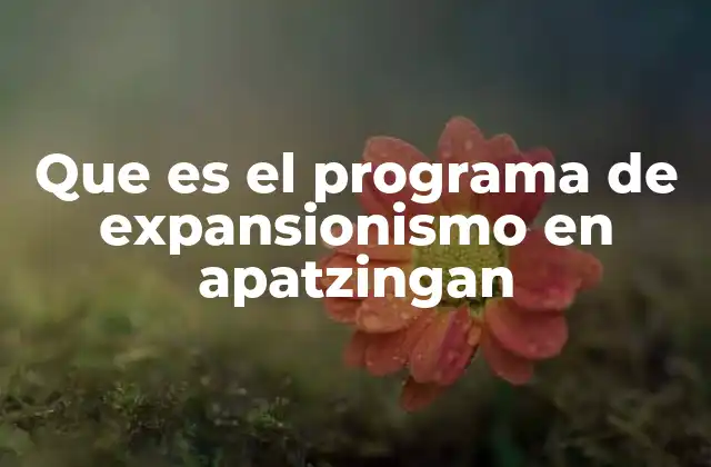 Que es el Programa de Expansionismo en Apatzingan