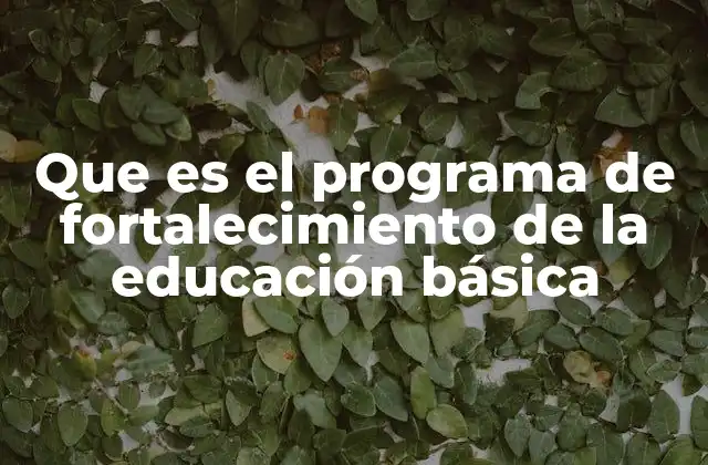 Que es el Programa de Fortalecimiento de la Educación Básica