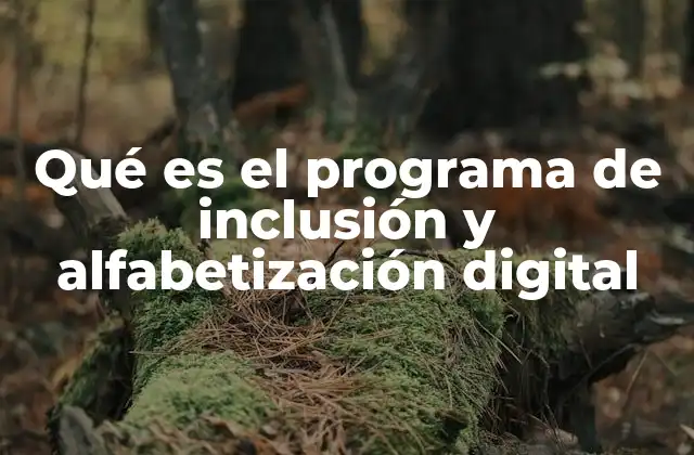 Qué es el Programa de Inclusión y Alfabetización Digital 2 Cómo la tecnología transforma la vida de las personas en comunidades vulnerables