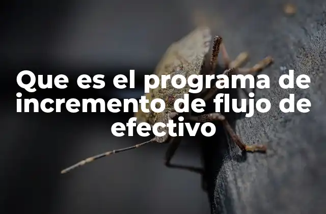 Que es el Programa de Incremento de Flujo de Efectivo