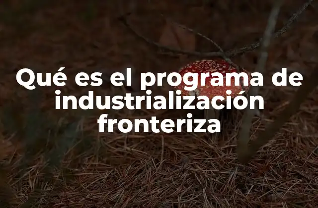 Qué es el Programa de Industrialización Fronteriza