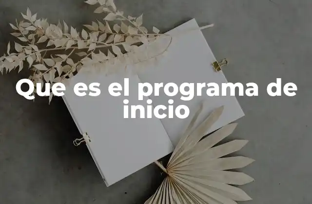 Que es el Programa de Inicio