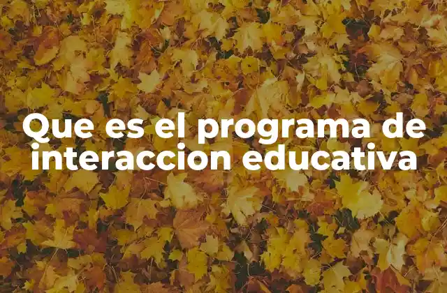 Que es el Programa de Interaccion Educativa