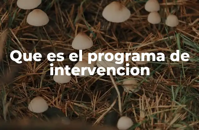 Que es el Programa de Intervencion