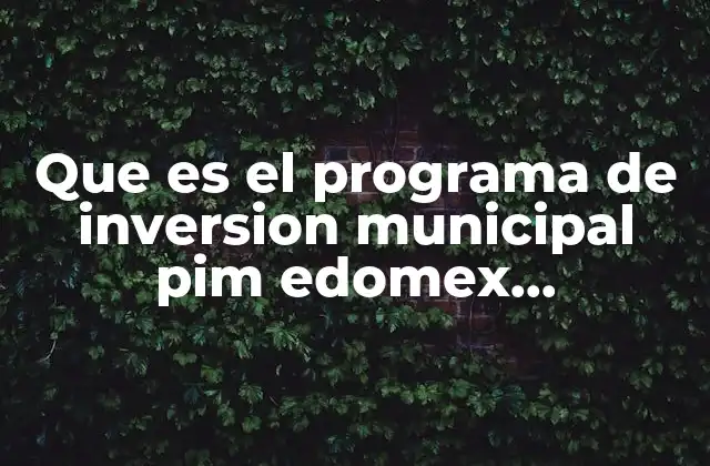 Que es el Programa de Inversion Municipal Pim Edomex Nezahualcotorl