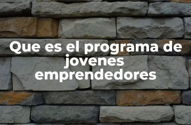 Que es el Programa de Jovenes Emprendedores
