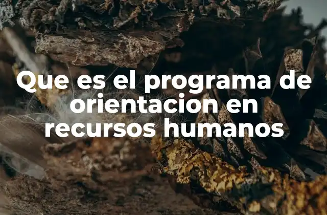 Que es el Programa de Orientacion en Recursos Humanos