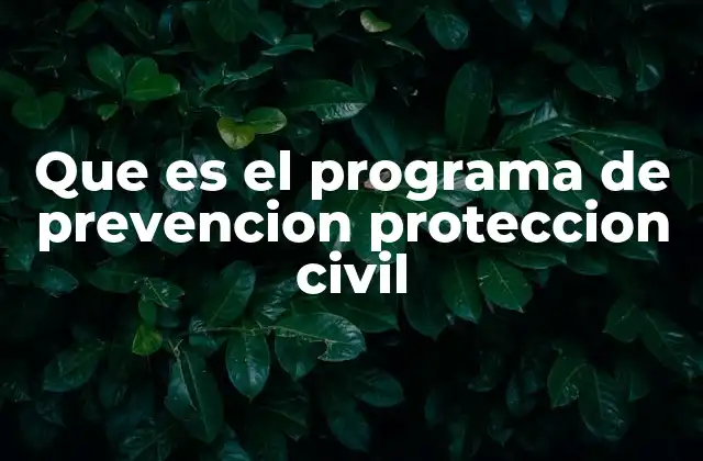 Que es el Programa de Prevencion Proteccion Civil