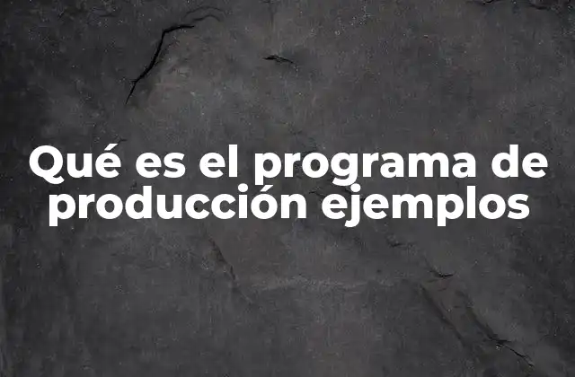 Qué es el Programa de Producción Ejemplos