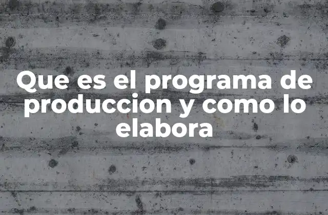 Que es el Programa de Produccion y como Lo Elabora