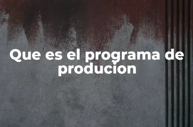 Que es el Programa de Producion
