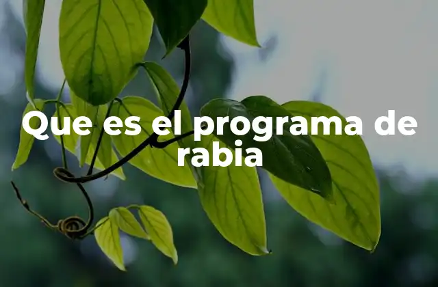 Que es el Programa de Rabia