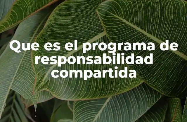 Que es el Programa de Responsabilidad Compartida
