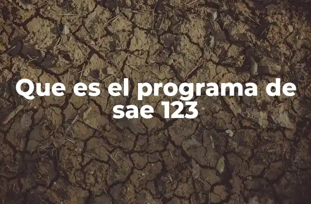 Que es el Programa de Sae 123