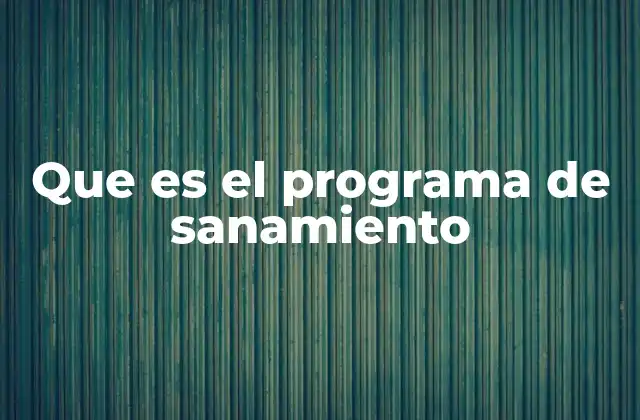 La importancia de los programas de sanamiento en la sociedad