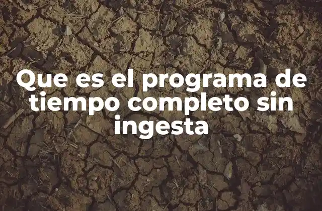 Que es el Programa de Tiempo Completo sin Ingesta