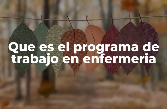 Que es el Programa de Trabajo en Enfermeria