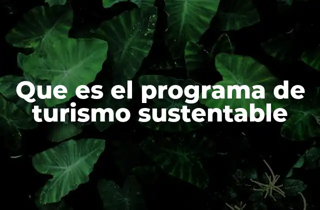 Que es el Programa de Turismo Sustentable 2 La importancia del turismo responsable en el desarrollo económico local