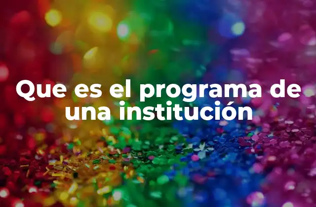 Que es el Programa de una Institución