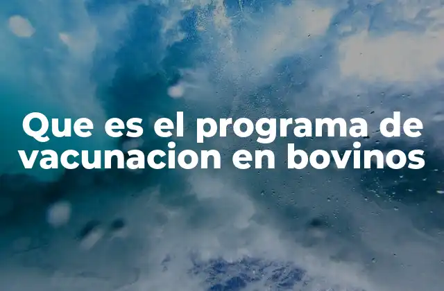 La importancia de la prevención en la salud animal
