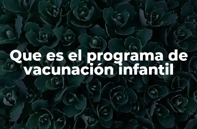 Que es el Programa de Vacunación Infantil