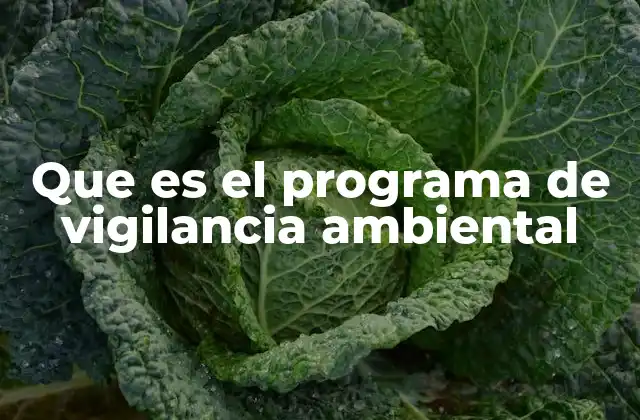 Que es el Programa de Vigilancia Ambiental
