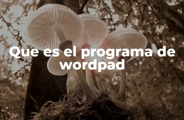 Que es el Programa de Wordpad