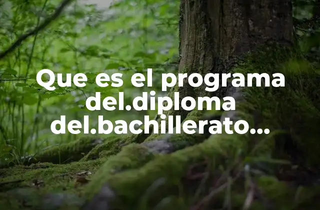 Que es el Programa Del.diploma Del.bachillerato Ibternacional