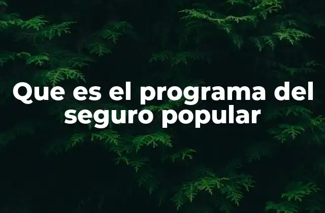 Que es el Programa Del Seguro Popular