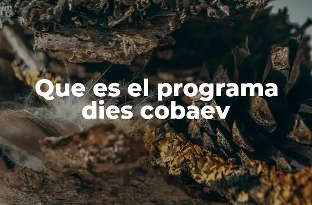 Que es el Programa Dies Cobaev 2 El rol del DIES COBAEV en la transformación educativa