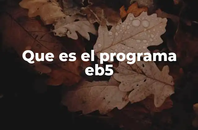 Que es el Programa Eb5