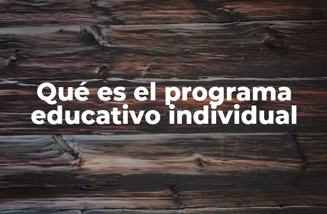 Qué es el Programa Educativo Individual