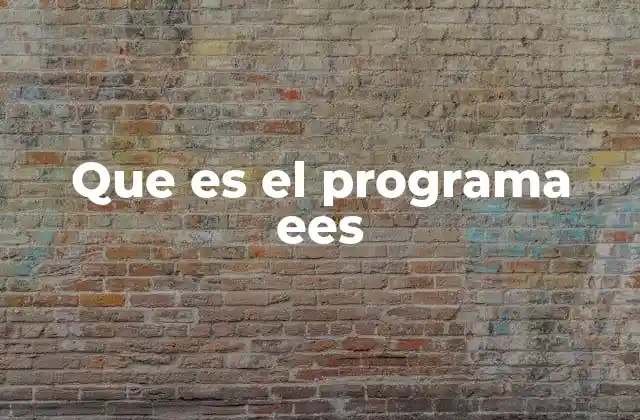 Que es el Programa Ees