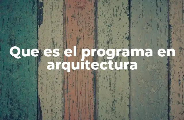 Que es el Programa en Arquitectura
