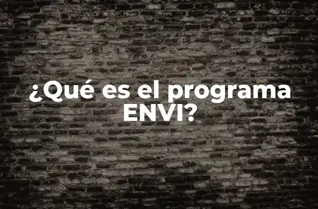 ¿qué es el Programa Envi?