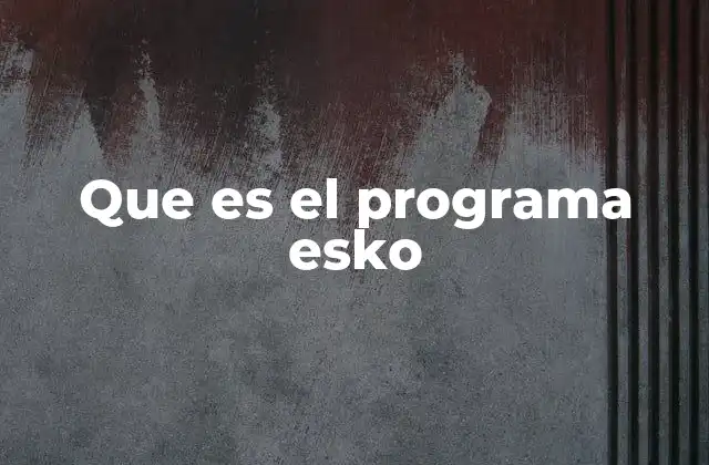 Que es el Programa Esko
