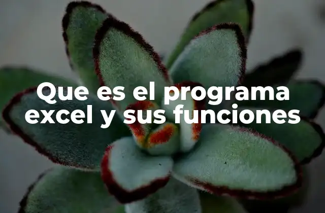 Que es el Programa Excel y Sus Funciones