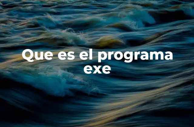 Que es el Programa Exe 2 Funcionamiento interno de los archivos ejecutables