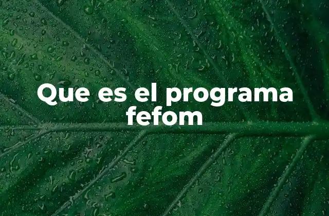 Que es el Programa Fefom