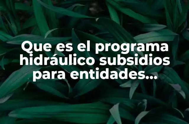 Que es el Programa Hidráulico Subsidios para Entidades Federativas