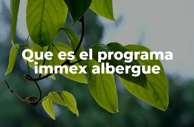 Que es el Programa Immex Albergue