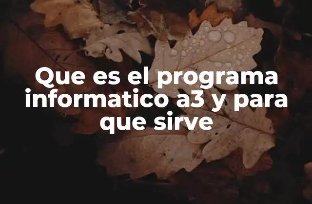 Que es el Programa Informatico A3 y para que Sirve