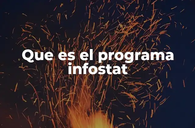 Que es el Programa Infostat