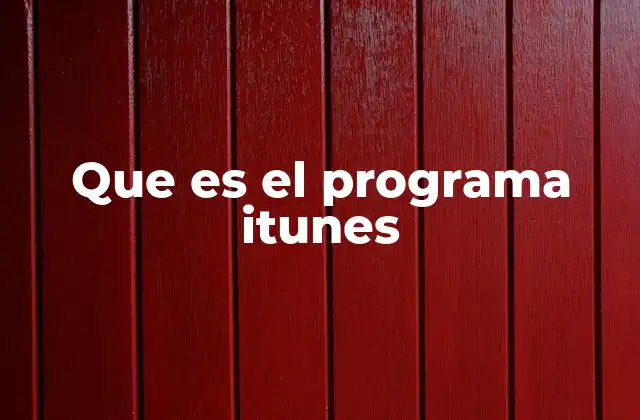 Que es el Programa Itunes