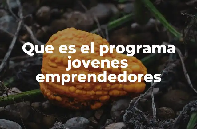 La importancia del apoyo institucional para el emprendimiento joven