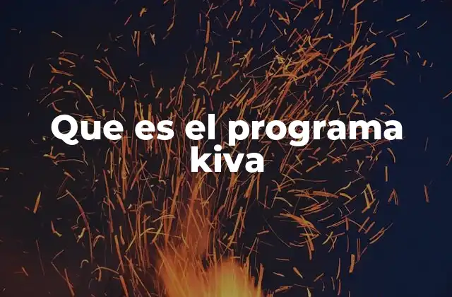 Que es el Programa Kiva