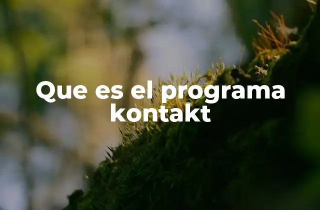 Que es el Programa Kontakt