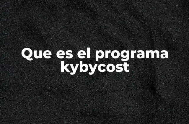Que es el Programa Kybycost