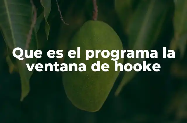 Que es el Programa la Ventana de Hooke