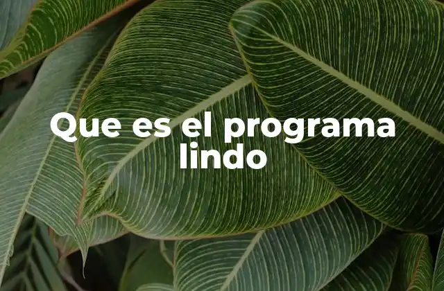Que es el Programa Lindo